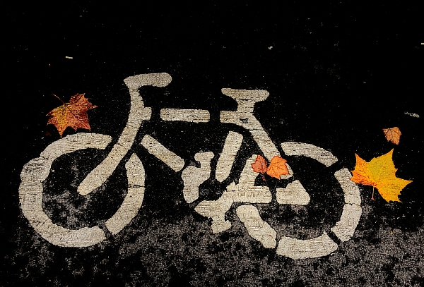 共享单车，或许是中国创业史上最疯狂的试错